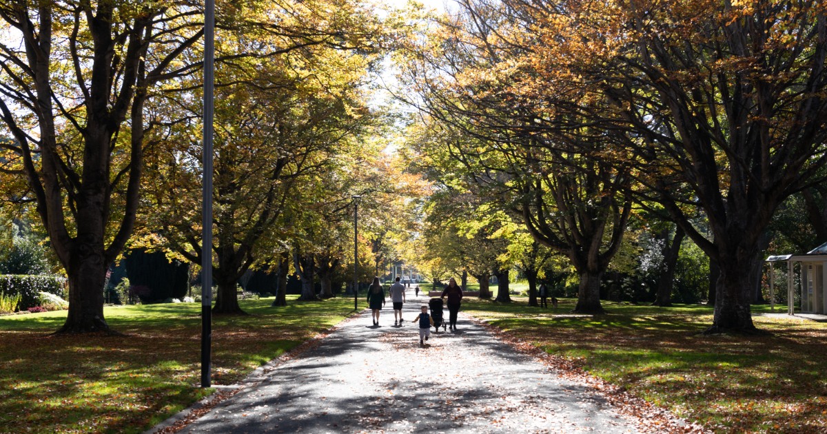 A wide, tree-lined park path in autumn with tall trees arching overhead, yellow and green leaves filtering sunlight onto the walkway, and several people walking along the path, with grass lawns and a small building visible to the side.