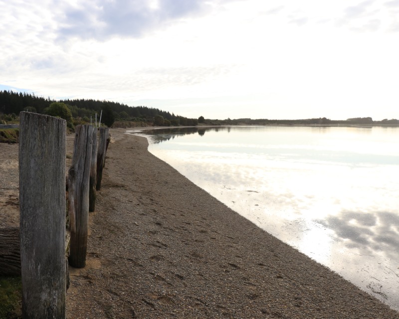 Wooden posts sit on a sandy gravelly beach with water on the right reflecting bright sunlight. Trees far in background.