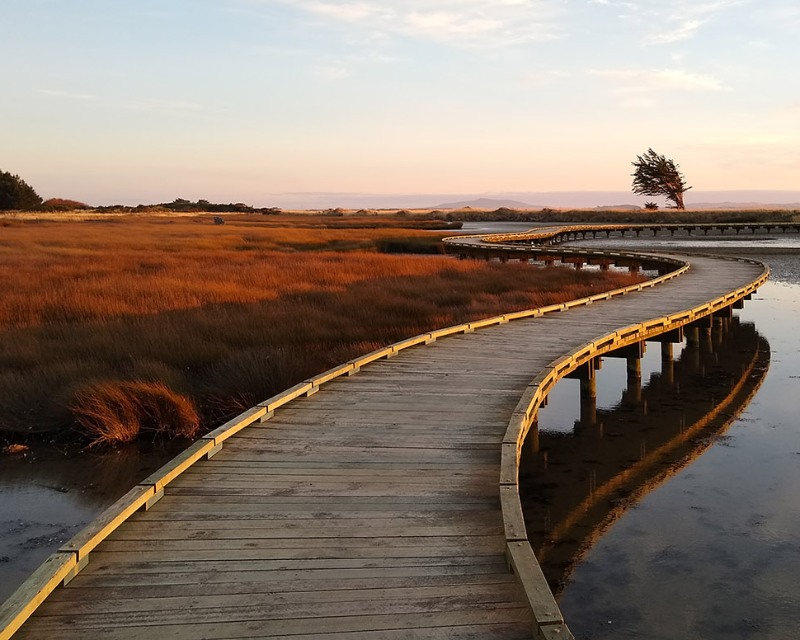 Wooden boardwalk extending into the distance over water and golden grasses with a sunset sky in the background